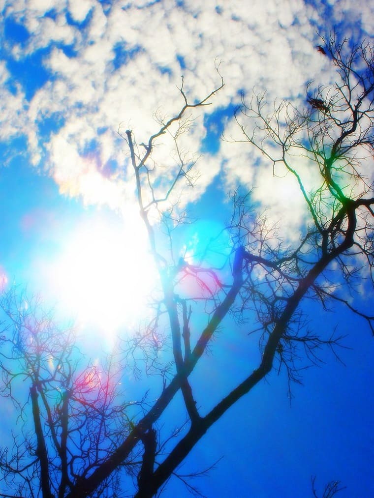 Inspiredreamcreate flickr photo.