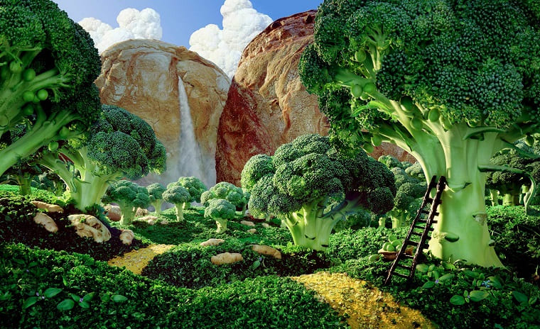 Broccoli Forest.