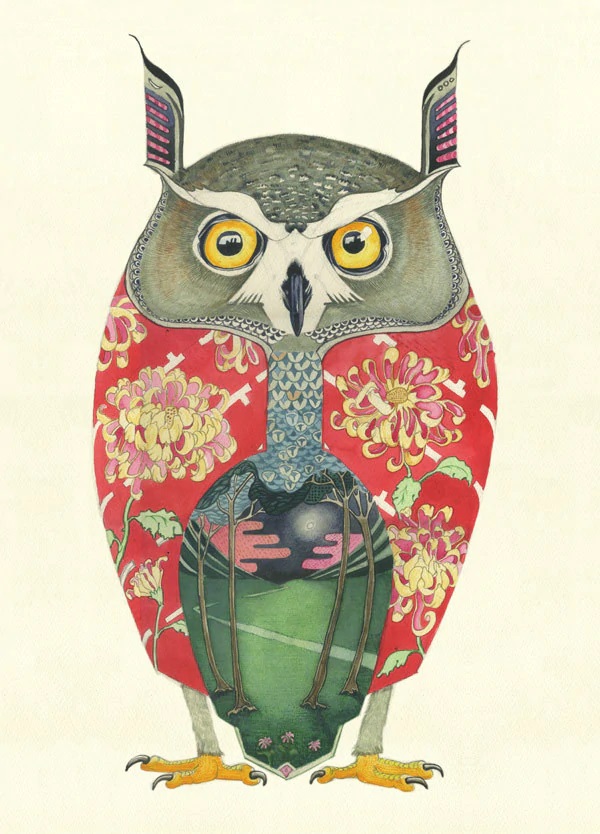LONG EARED OWL.