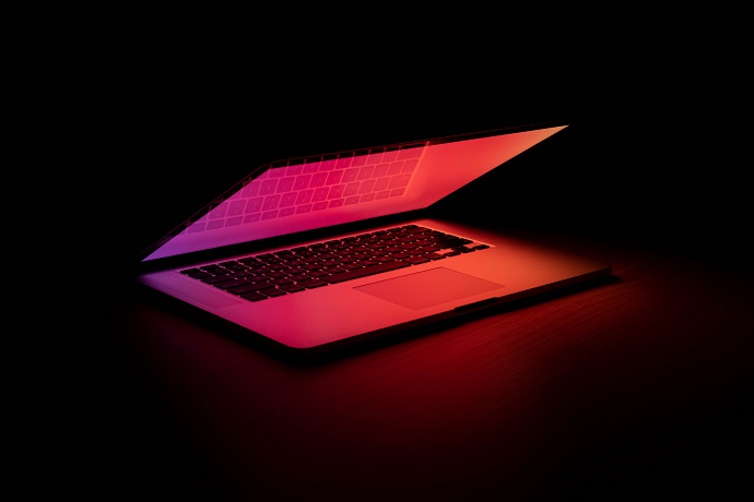 What Skills Do You Need To Build a WordPress Website?